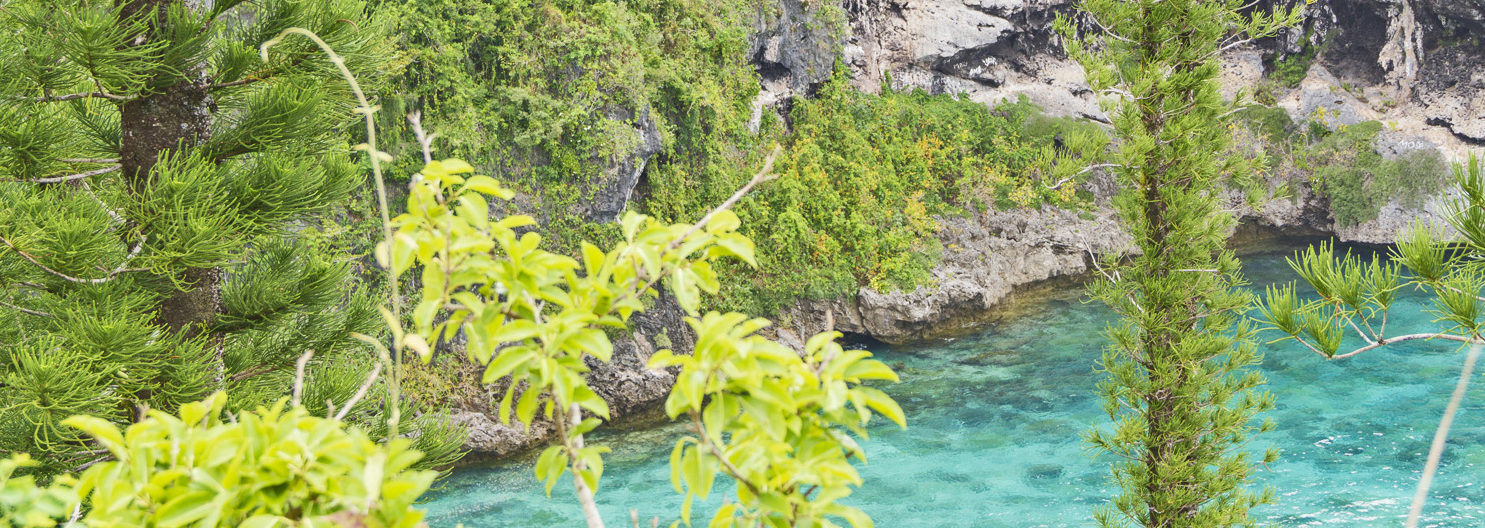 Lifou, isola corallina da sogno in Nuova Caledonia